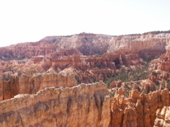 PICT0234.JPG