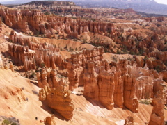 PICT0236.JPG