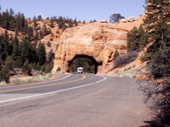 PICT0239.JPG