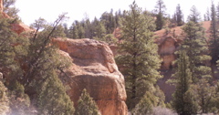 PICT0240.JPG