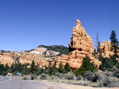 PICT0242.JPG