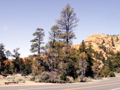PICT0243.JPG