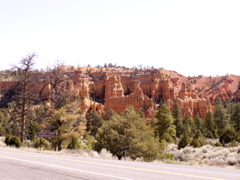 PICT0244.JPG