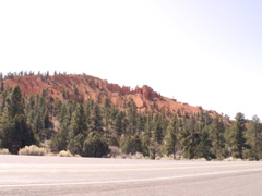 PICT0245.JPG