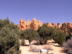 PICT0246.JPG