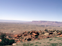 PICT0249.JPG
