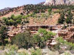 PICT0186.JPG