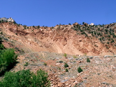 PICT0187.JPG