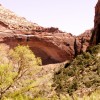 Zion and Bryce Canyon (24/68)