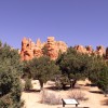 Zion and Bryce Canyon (62/68)